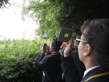 Harris Federation students examining leaf slides on the Sandwalk at Down House