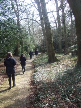 Walking in Darwin's footsteps - along the Sandwalk at Down House